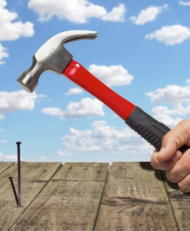 Animaux – Bricolage – Fleurs – Jardinage