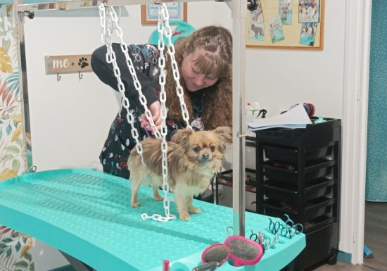 Vos nouveaux commerces et initiatives du mois