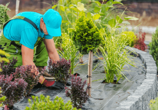 EURL FRUGIERE Laurent