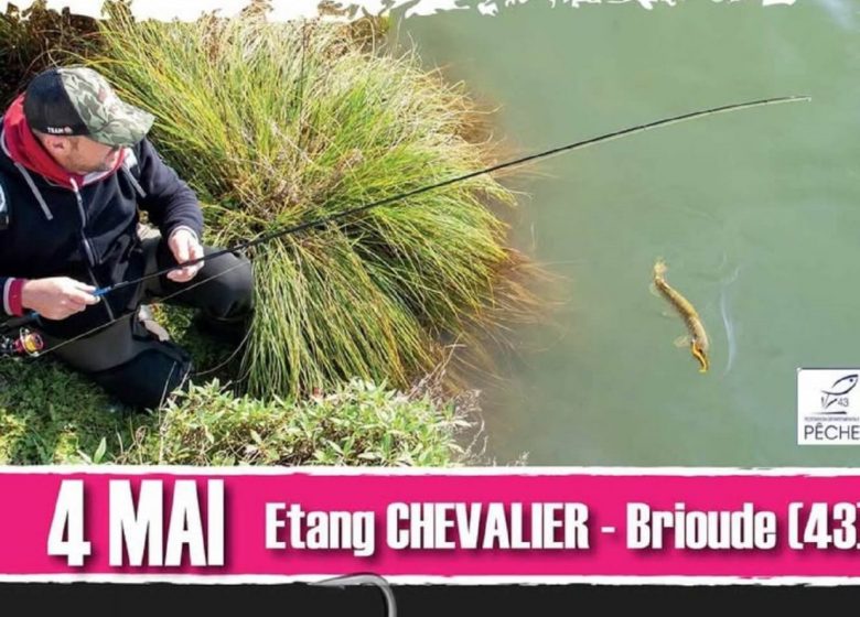 Concours carnassiers aux leurres du bord
