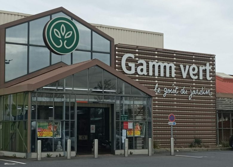 GAMM VERT