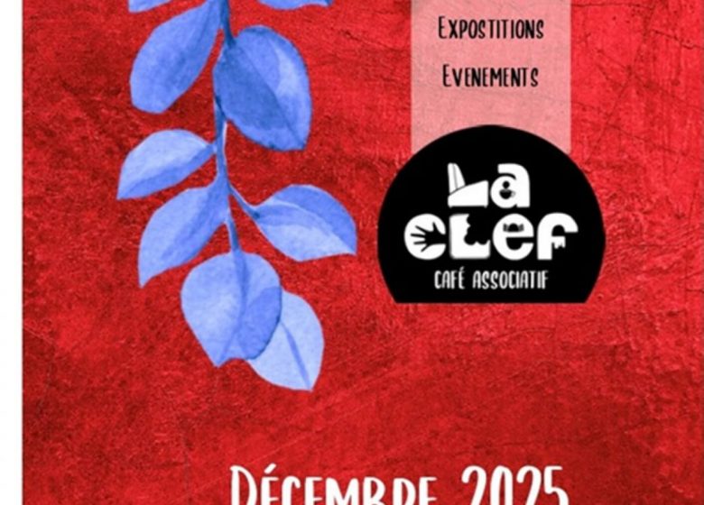 Animations du 3 au 6 décembre