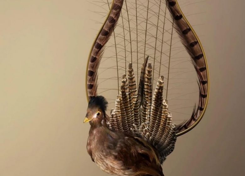 Réouverture de l&rsquo;artothèque – Mise en avant des oeuvres de Vincent Fournier