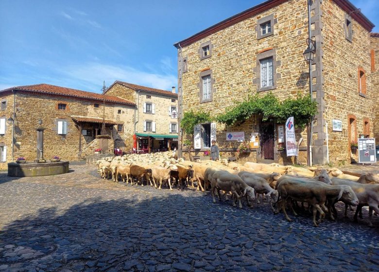 Lavaudieu, Plus Beau Village de France
