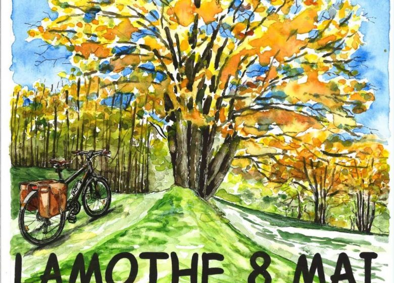 Bourse aux vélos et Vide-greniers