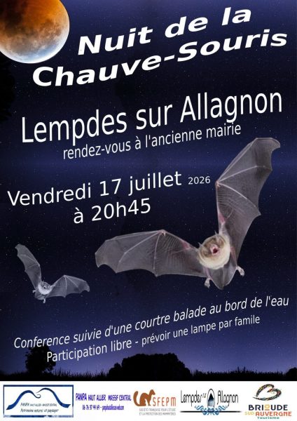 La nuit de la chauve-souris