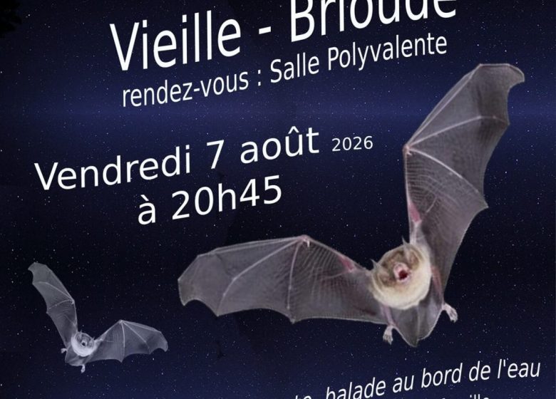 La nuit de la chauve-souris à Vieille-Brioude
