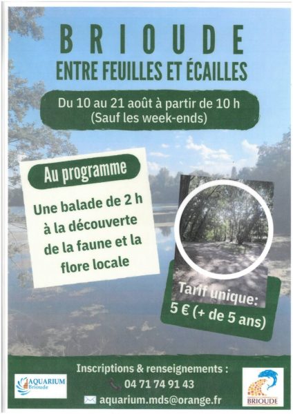 Brioude entre feuilles et écailles