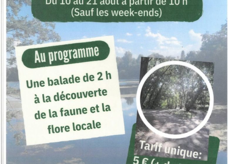 Brioude entre feuilles et écailles