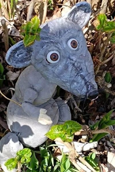 Saisons des Petits : BENJI