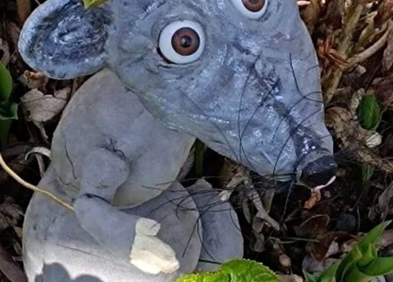 Saisons des Petits : BENJI