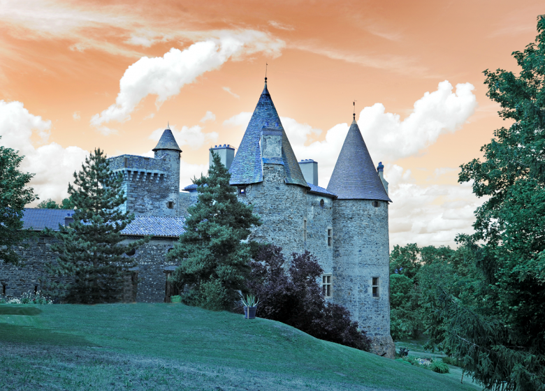 Château de Lespinasse