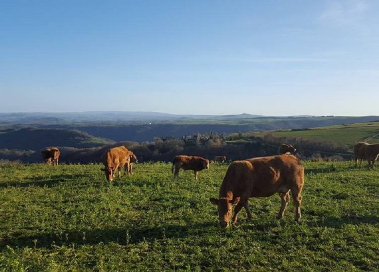 La Ferme Aubijoux